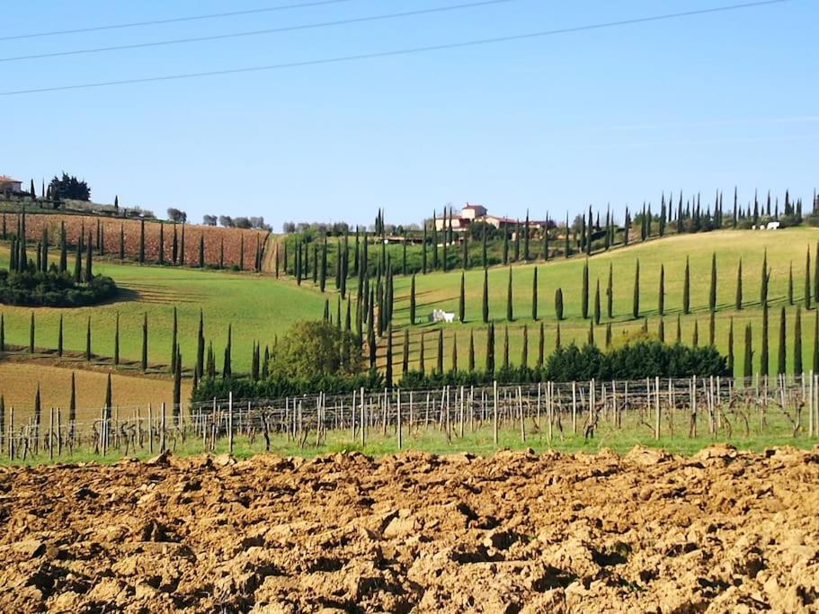 Castello Di Fulignano Ildebrando Superior Apartment San Gimignano Exteriör bild